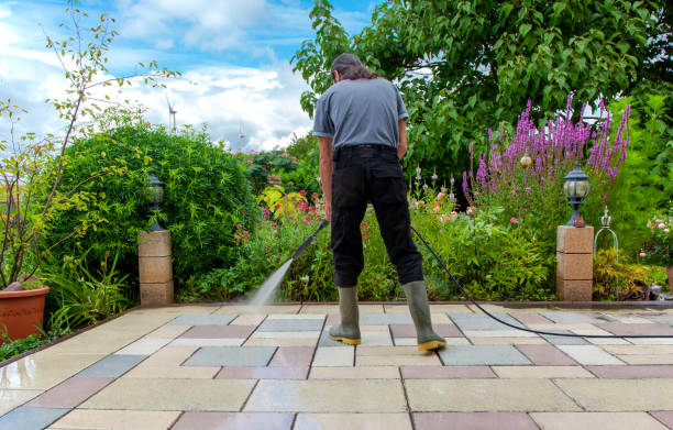 Best Driveway Pressure Washing  in Fort Sumner, NM